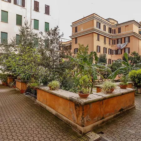 Pictadomus-albus, Metro Furio Camillo