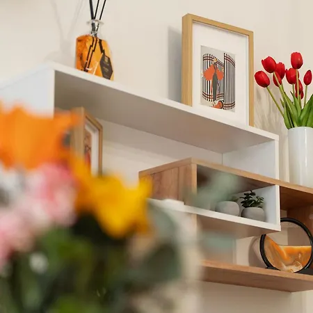 Pictadomus-albus, Metro Furio Camillo Rome