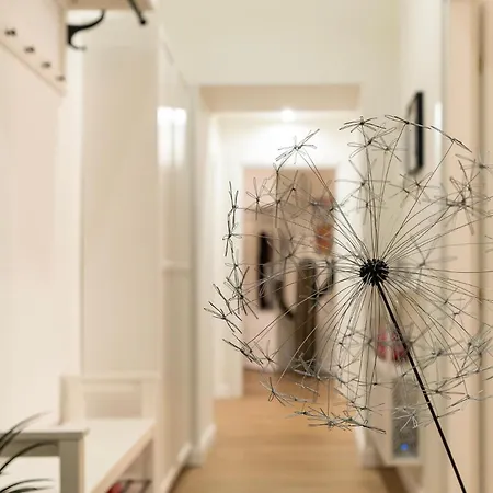 Pictadomus-albus, Metro Furio Camillo